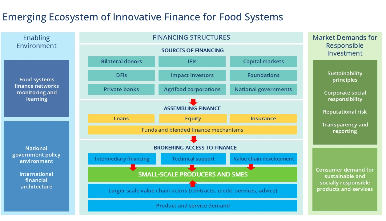 Figure 11: Illustration of key elements of an agrifood systems financing ecosystem