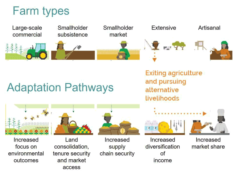 Graphic on farming