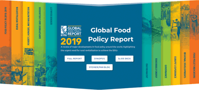 IFPRI GFPR 2019 report website