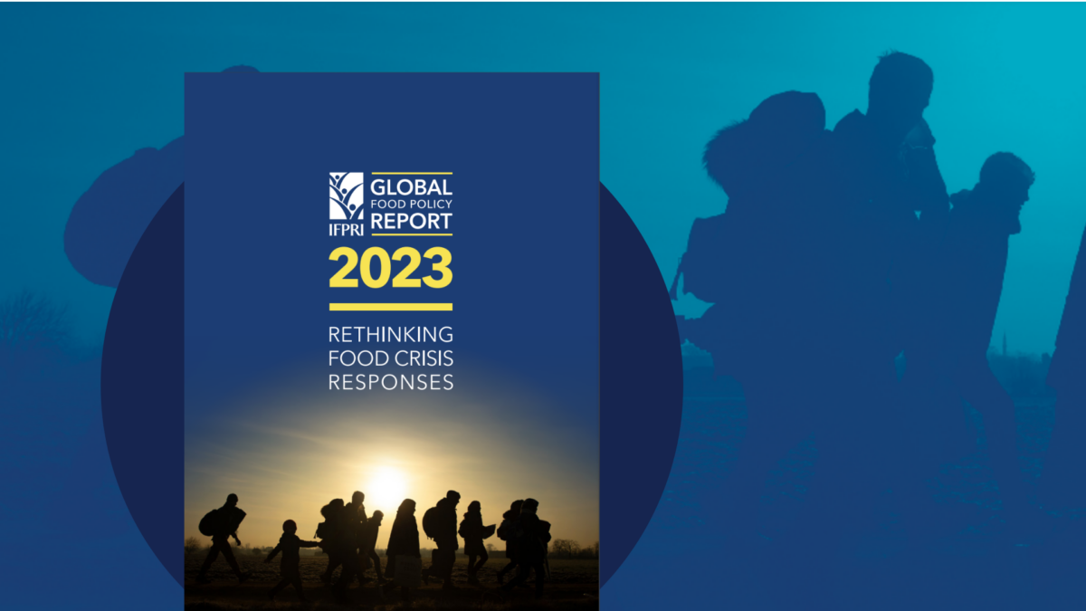 IFPRI Global Food Policy Report 2023 Global Donor Platform for Rural