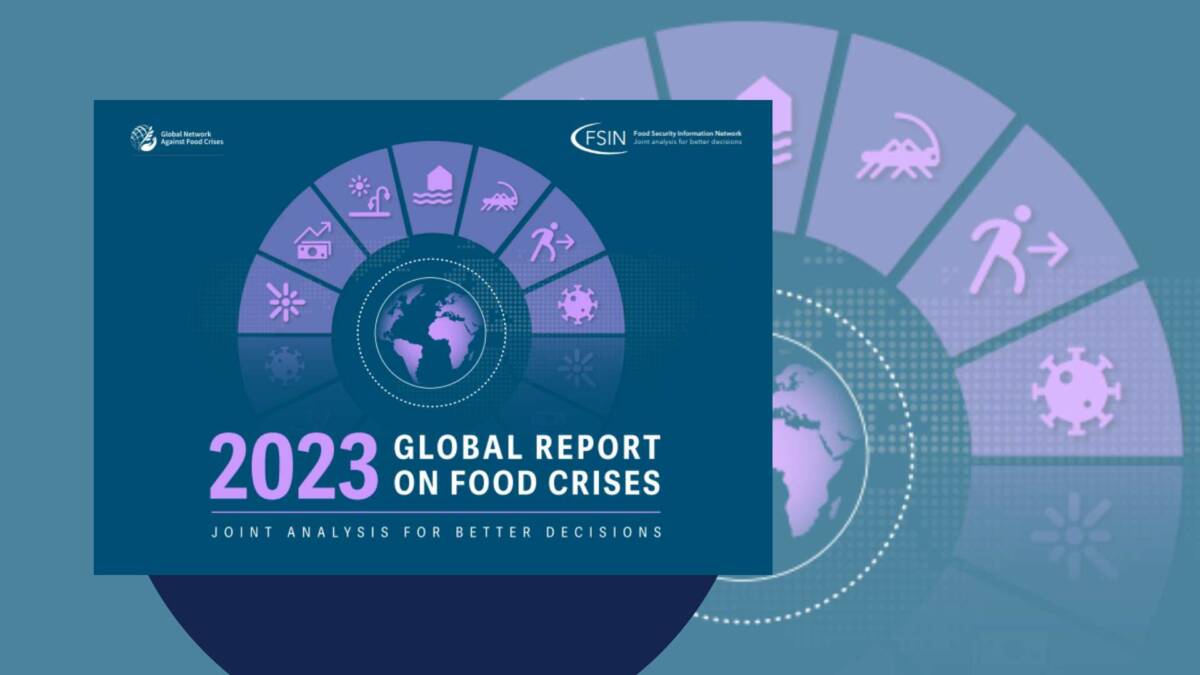 research paper about food crisis