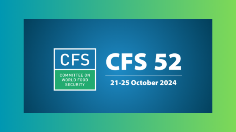 CFS52 in 2024