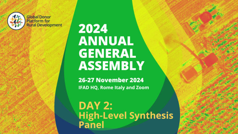 Day Two - High-Level Synthesis Panel